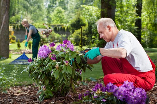 Professional garden maintenance service in Wandsworth