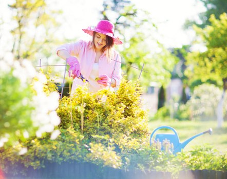 Comprehensive garden maintenance services