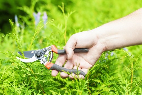 Team leader preparing remedial work in a landscaped backyard
